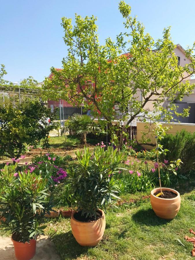 Apartmani Lavanda Vrsi Dış mekan fotoğraf